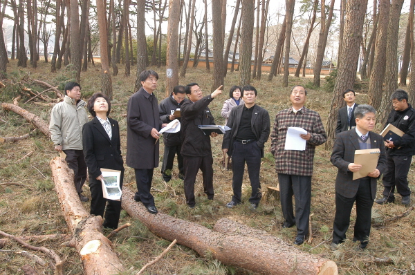 제184회 정례회중 산업건설위  현장 확인(2006.12.5) 대표이미지