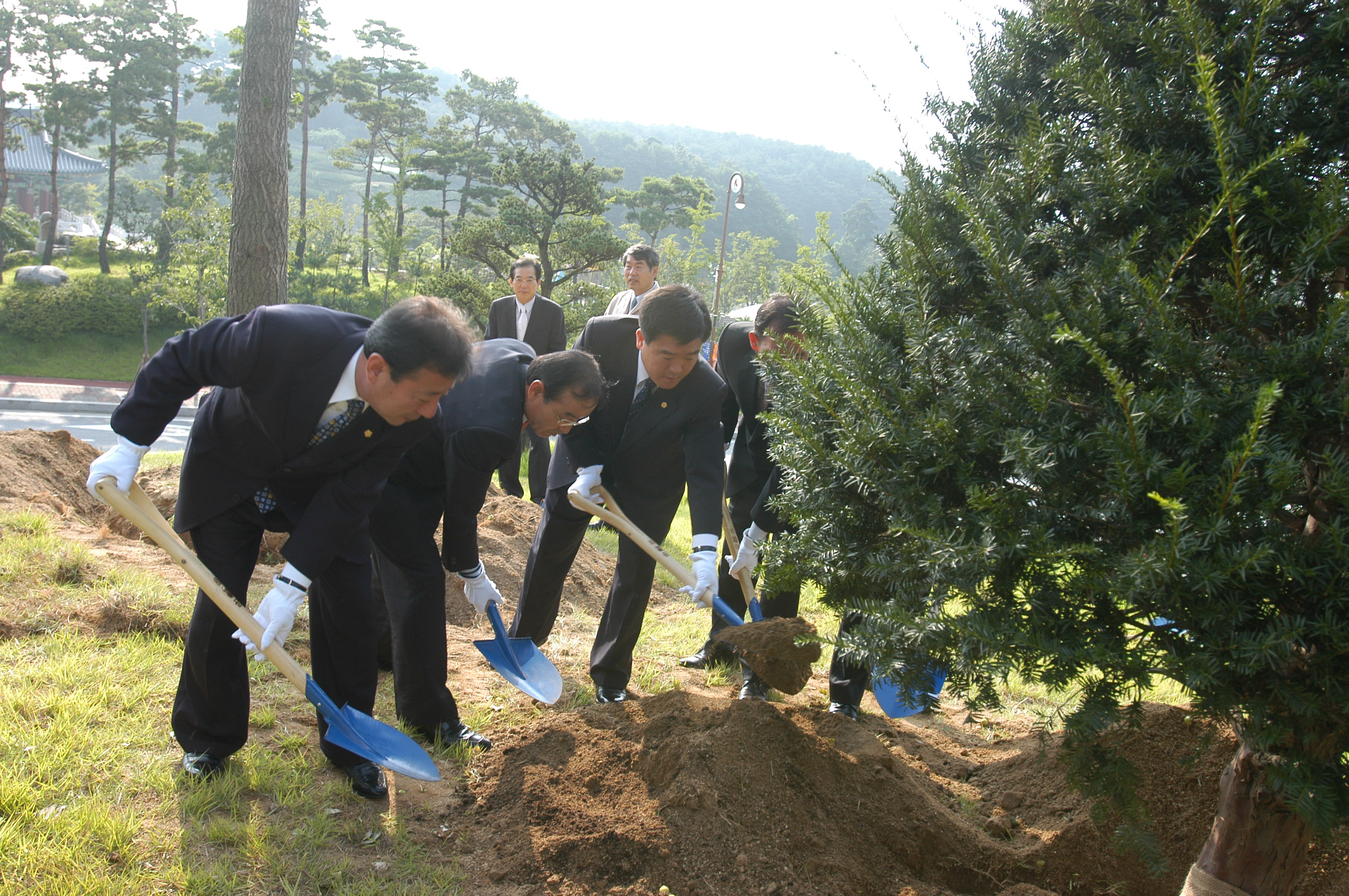 시 승격 50주년 기념 식수 참석-6 대표이미지