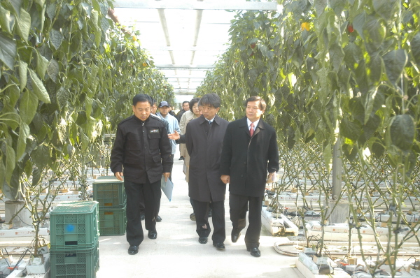 제184회 정례회중 산업건설위  현장 확인(2006.12.5) 대표이미지