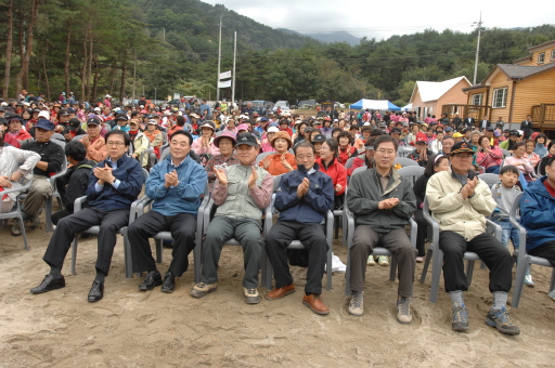 대관령 단풍축제(2007.10.14) 대표이미지