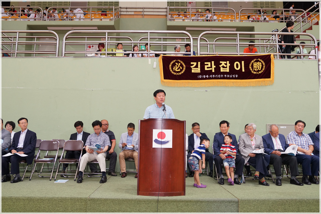 제7회 강릉시장기 태권도대회(2015.08.22) 대표이미지