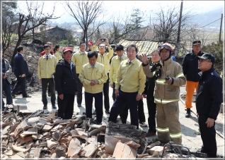 (2019.04.05.) 옥계산불 현장확인 및 상황보고 대표이미지