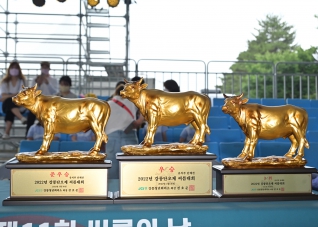 5월30일 2022 강릉단오장사 씨름대회 개막식 대표이미지