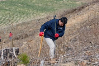 4월3일 제81회 식목일 기념 2026년 나무심기행사(저동 산12) 대표이미지